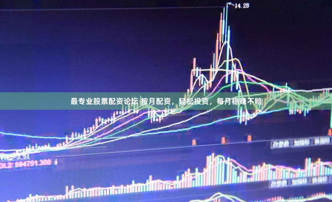 最专业股票配资论坛 按月配资，轻松投资，每月稳赚不赔
